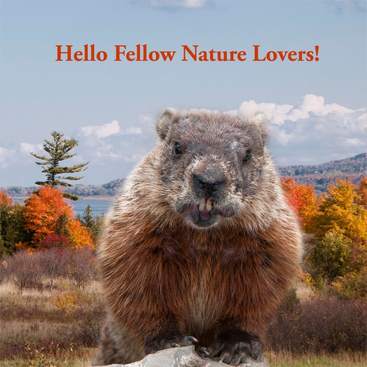 hello fellow nature lovers